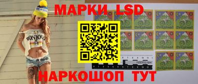 гашик Дубна