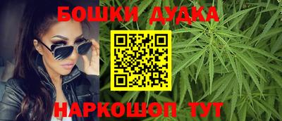 гашик Дубна